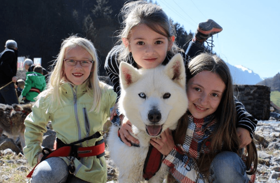 Das Husky-Erlebnis für die ganze Familie Bild